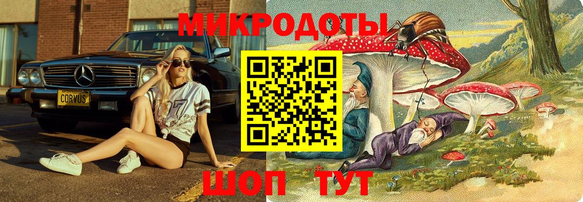 где продают   Галлюциногенные грибы GOLDEN TEACHER  Вход с VPN  Ростов Великий 